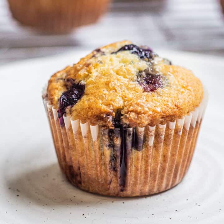 MUFFIN BLUEBERRY (pack de 6)